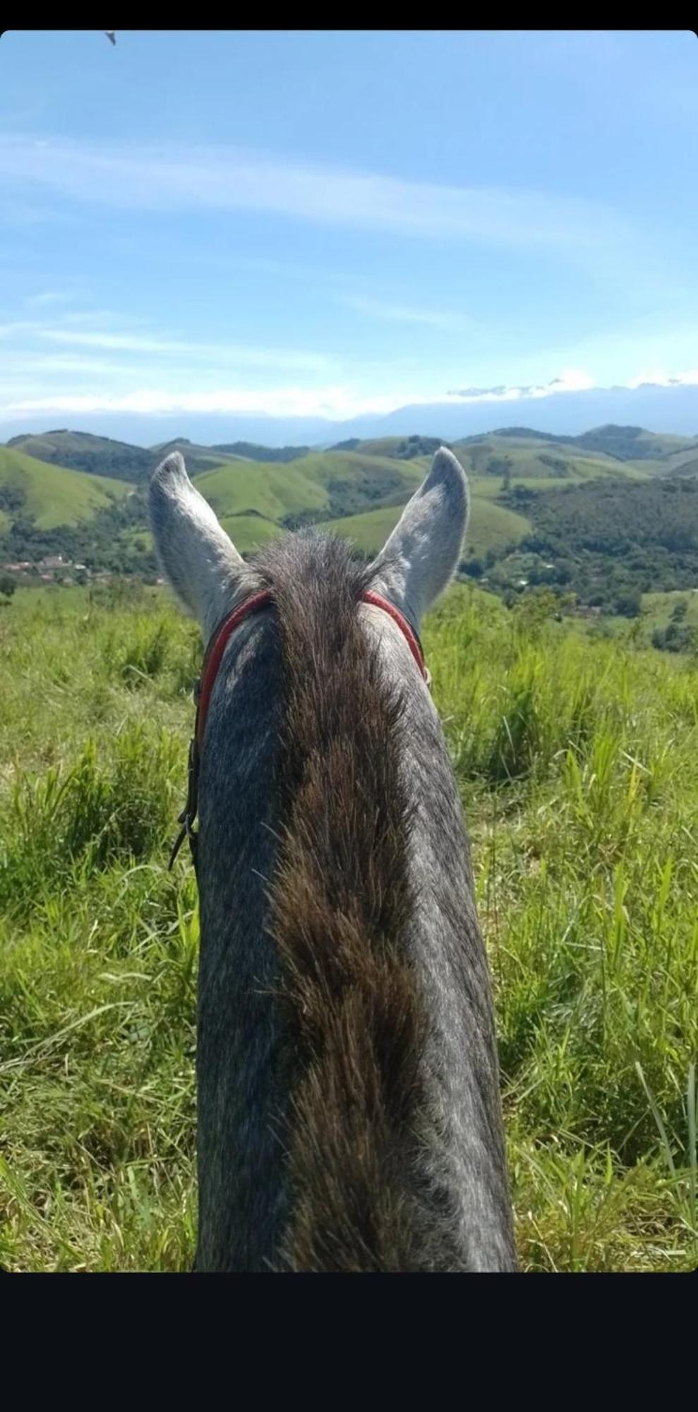 Pousada Sitio Monte Sinai São José do Barreiro Zewnętrze zdjęcie