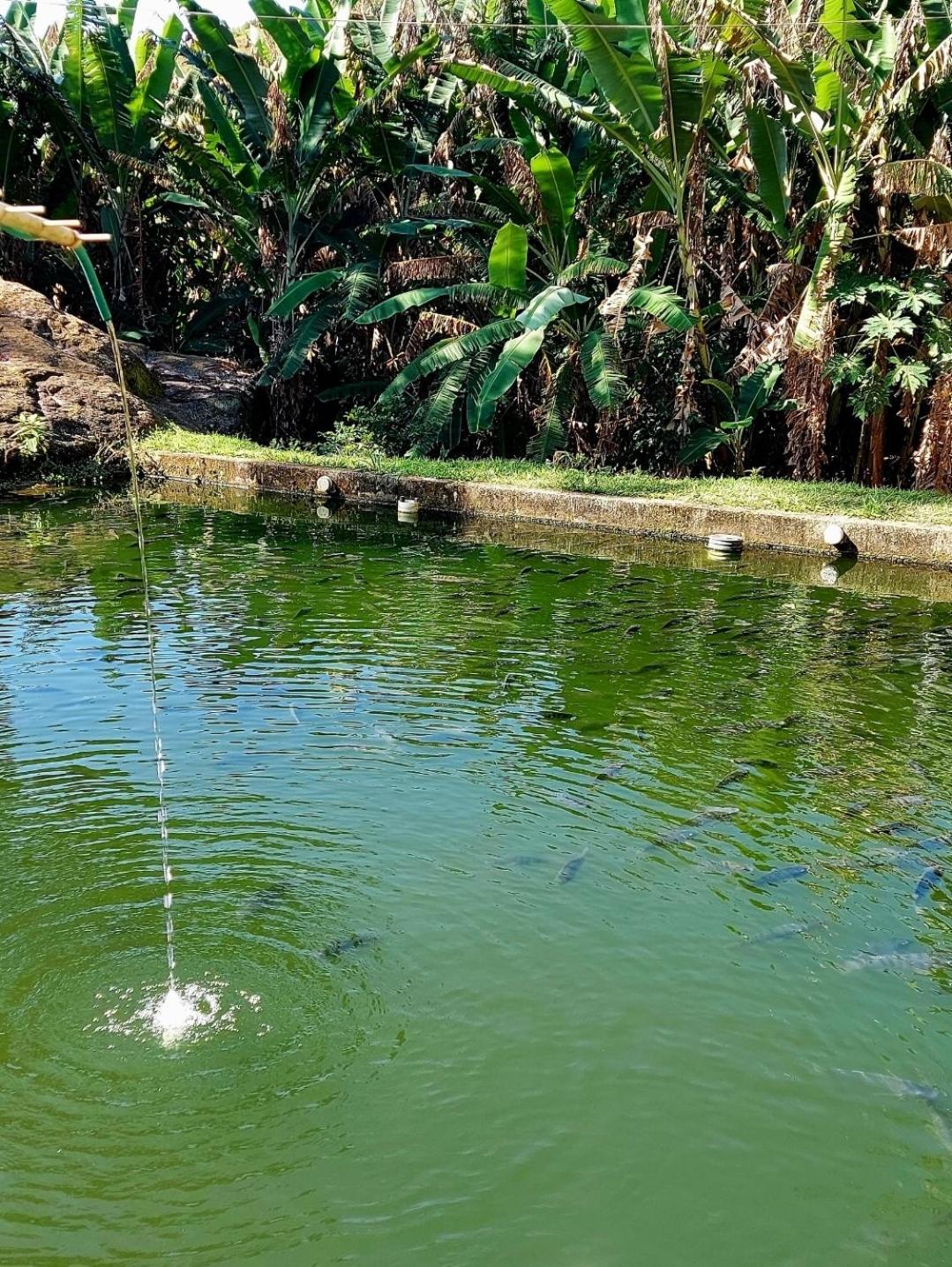 Pousada Sitio Monte Sinai São José do Barreiro Zewnętrze zdjęcie