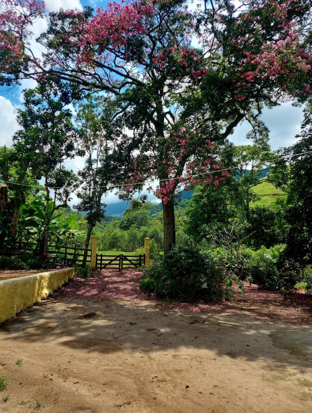 Pousada Sitio Monte Sinai São José do Barreiro Zewnętrze zdjęcie